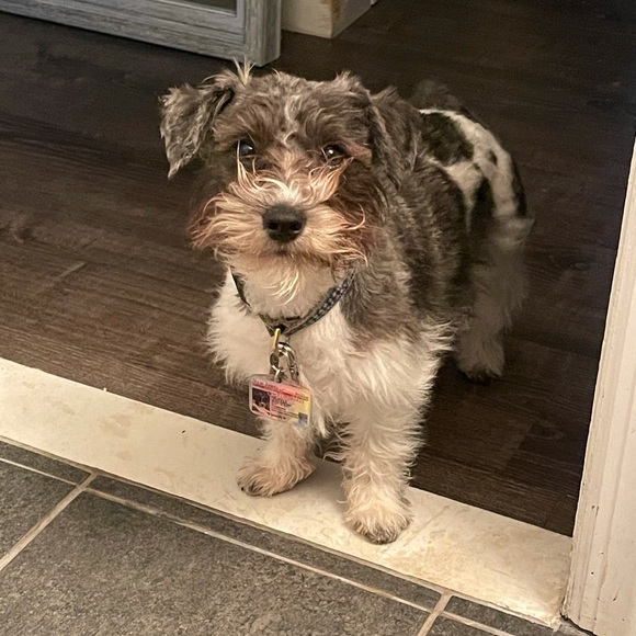 Meet your Posher, Edita - Picture 4 of 4